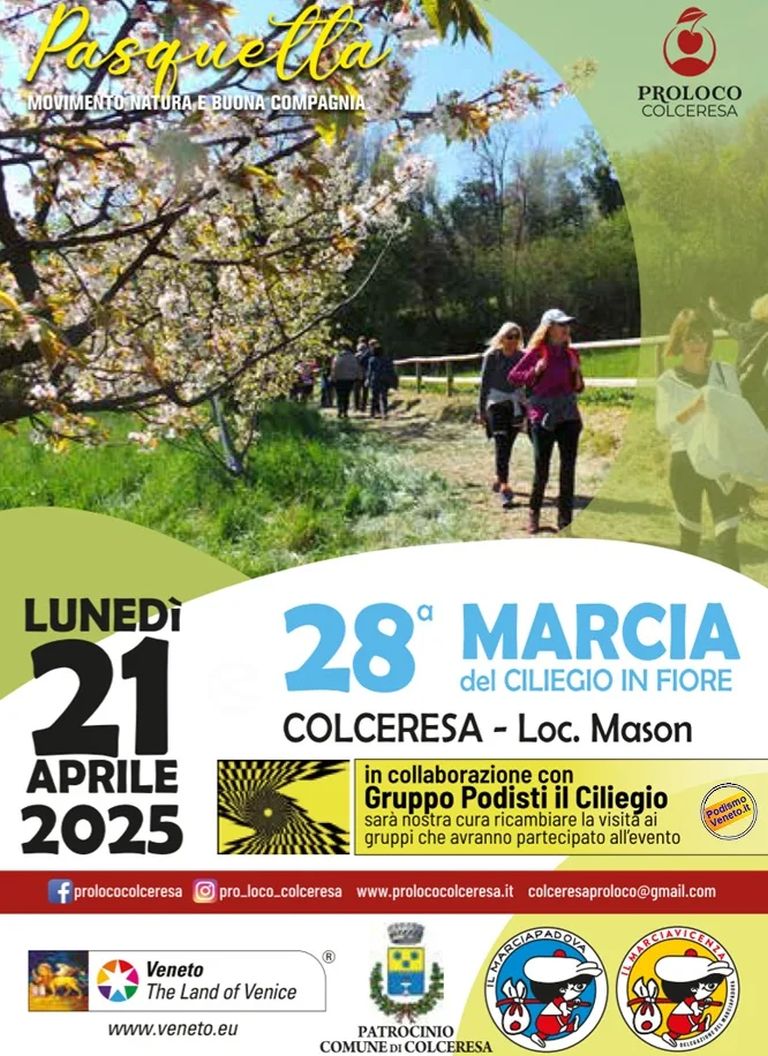28A marcia ciliegio